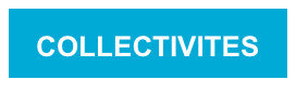 COLLECTIVITES